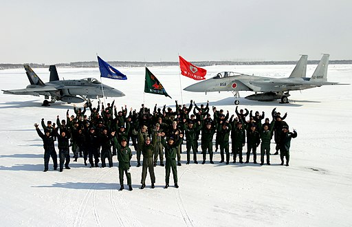 Mitsubishi F-15 and FA-18 Hornet, Chitose Air Base, 2011