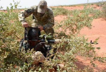 afc7860c-9ec4-4acd-b63f-e7ba667e2acdniger206Medium