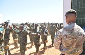 s300_Op_Tangham2