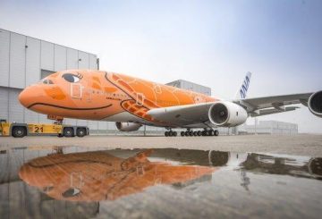 20200124-p3910_msn266_ana_turtles_red-HR-7