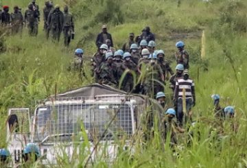 114253488-98930872-06a9-4595-8d4a-96a30d907d14