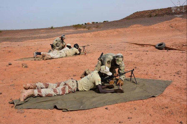 1cc2e81a-7155-451f-ba81-b53227d4c648niger203Medium