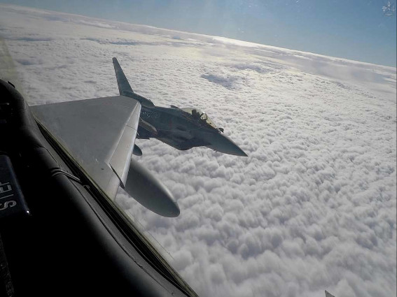 54534a7f-bbce-486c-8c15-878a6b2674daromania (2)Medium